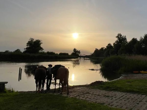 Abendidyll Nehringen Pferde an der Trnke 2022